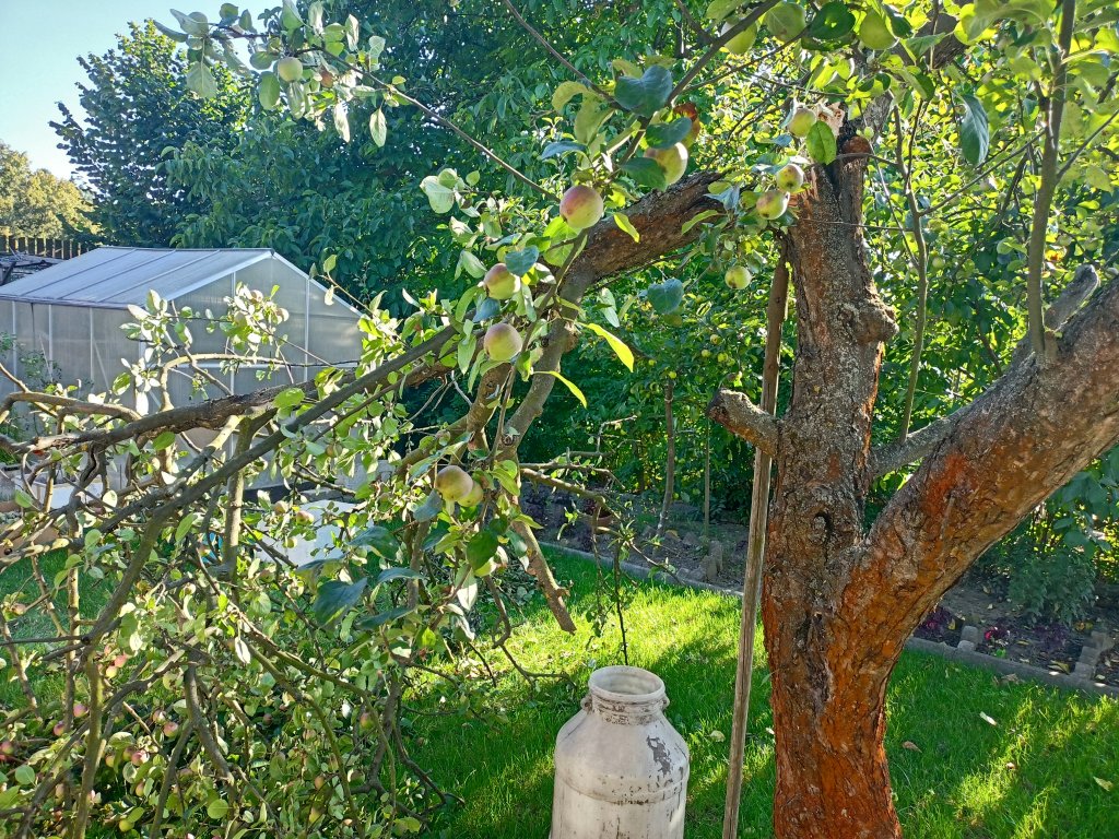IMG20250810174232.jpg