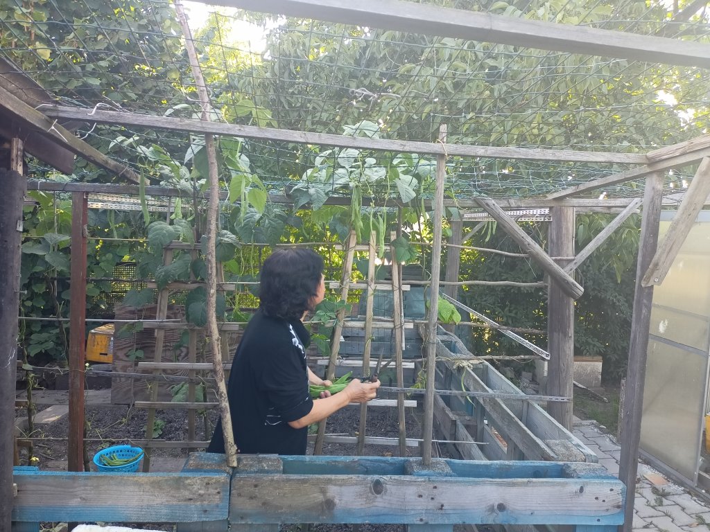 IMG20250810175422.jpg