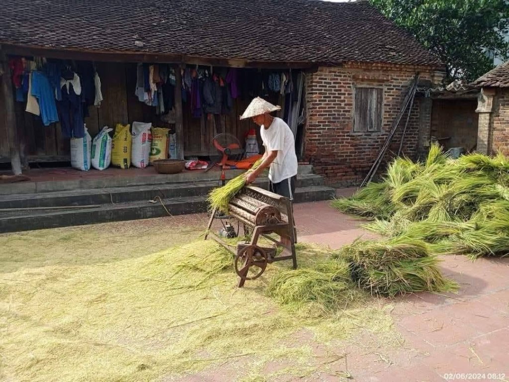 Tuoi tho 7.jpg