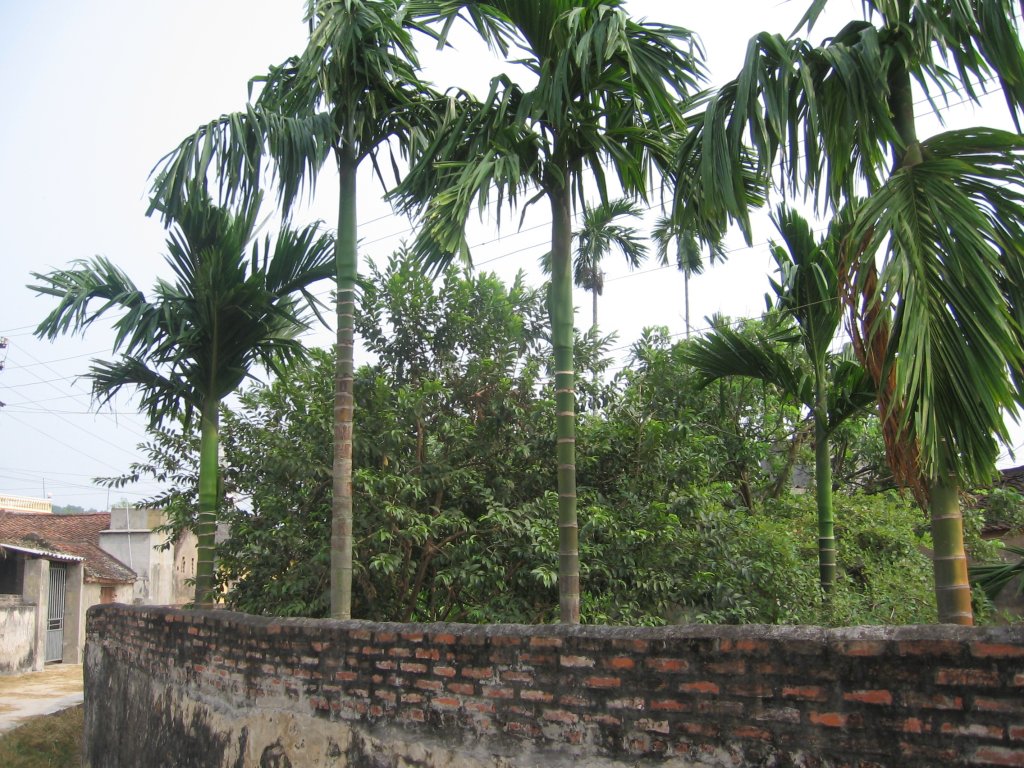 IMG_0103.jpg