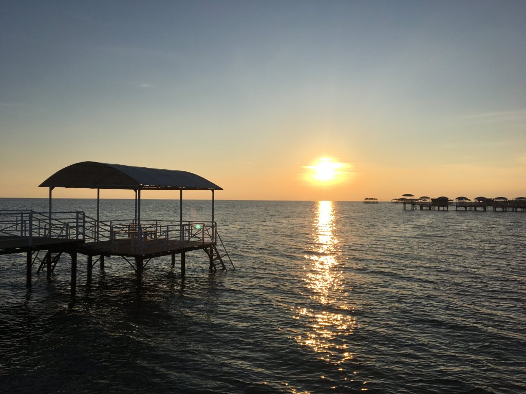 IMG_3202.jpeg