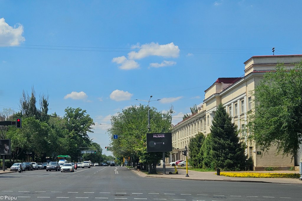 20250803_113754.JPG