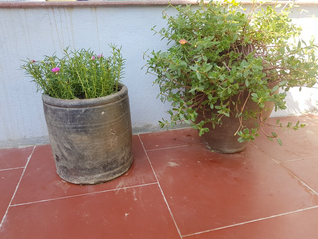 20180603_082627.jpg