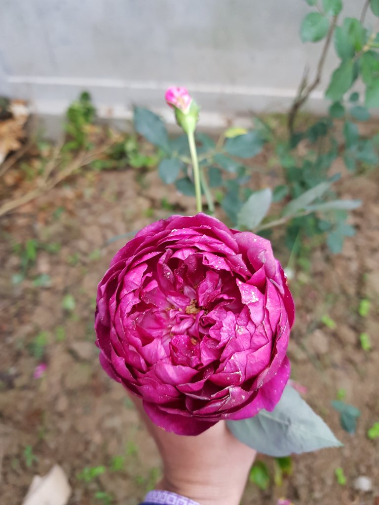 20181229_145808.jpg