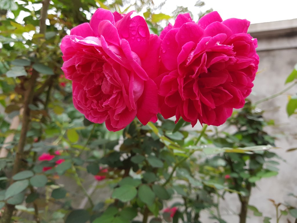 20181229_145911.jpg