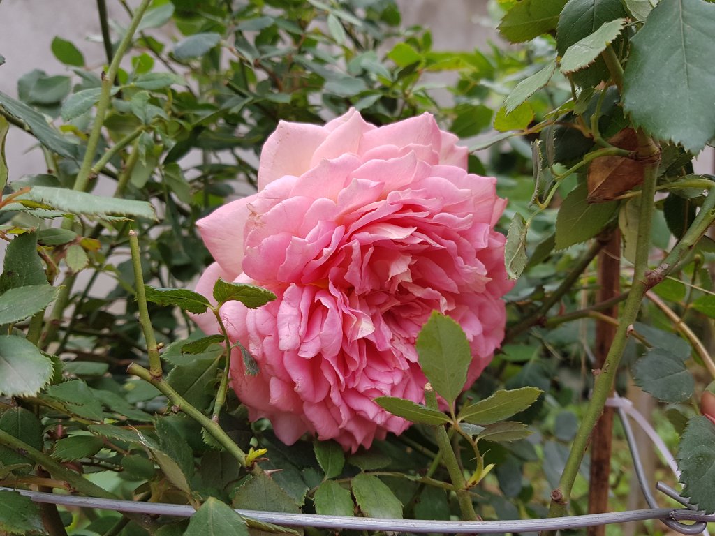 20181230_104049.jpg