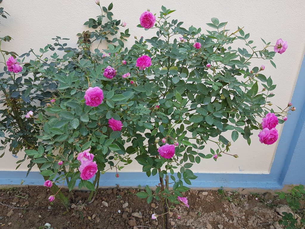 20190208_170939.jpg