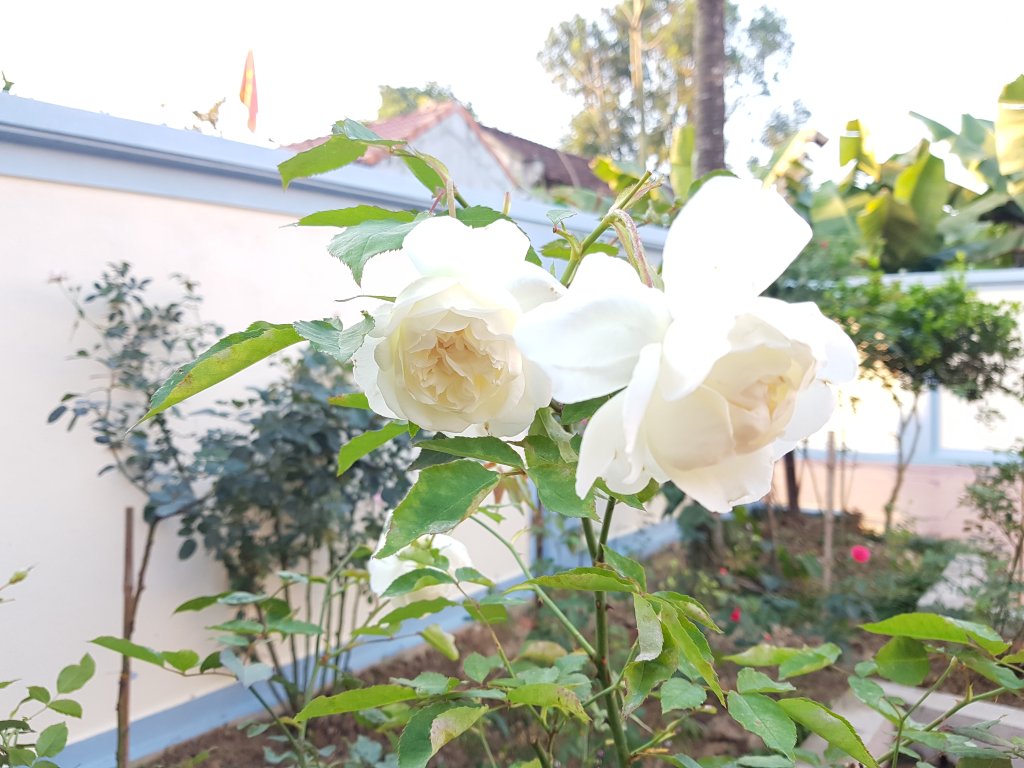 20190208_171046.jpg