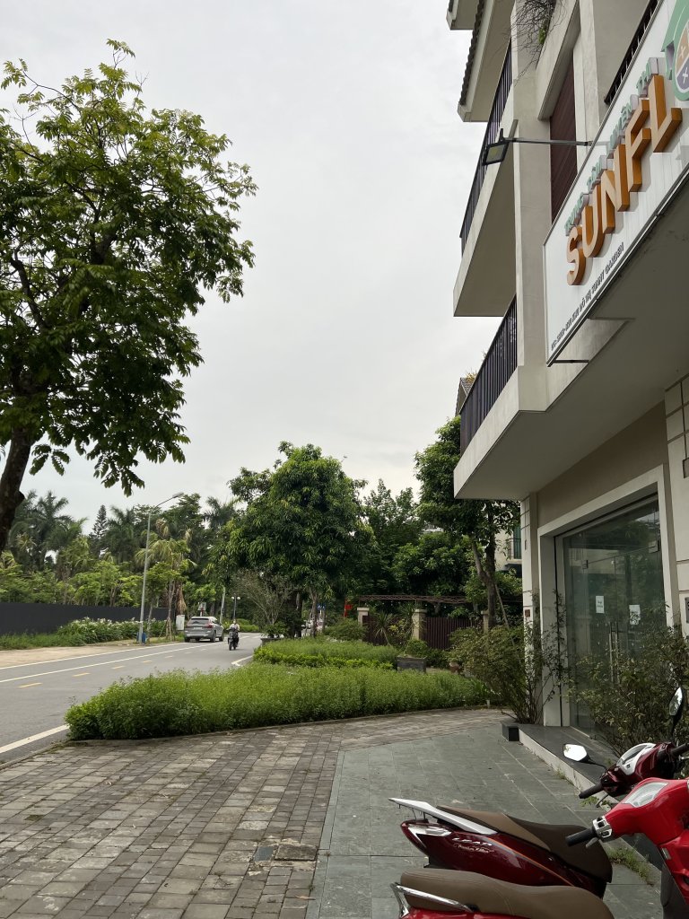 IMG_2992.jpeg