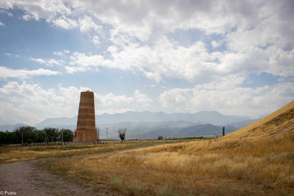 _DSC9563.JPG