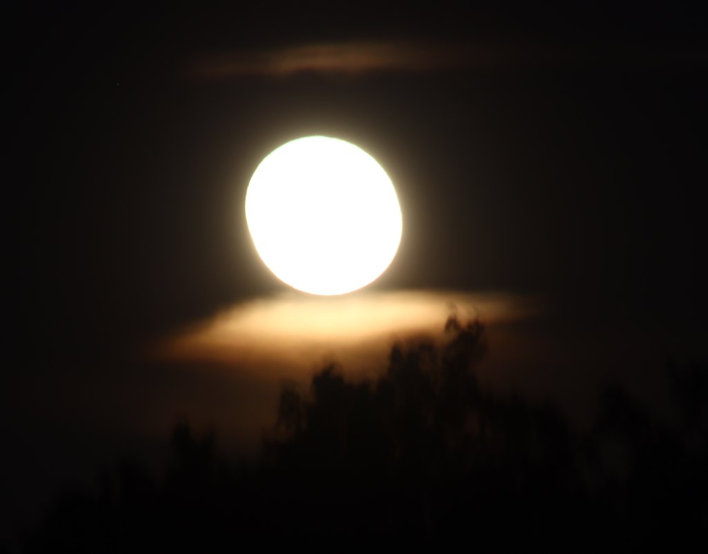 20250813_003651.jpg