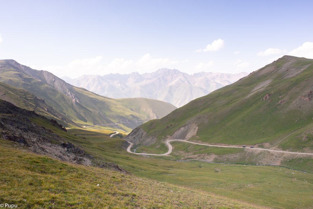 _DSC9568.JPG