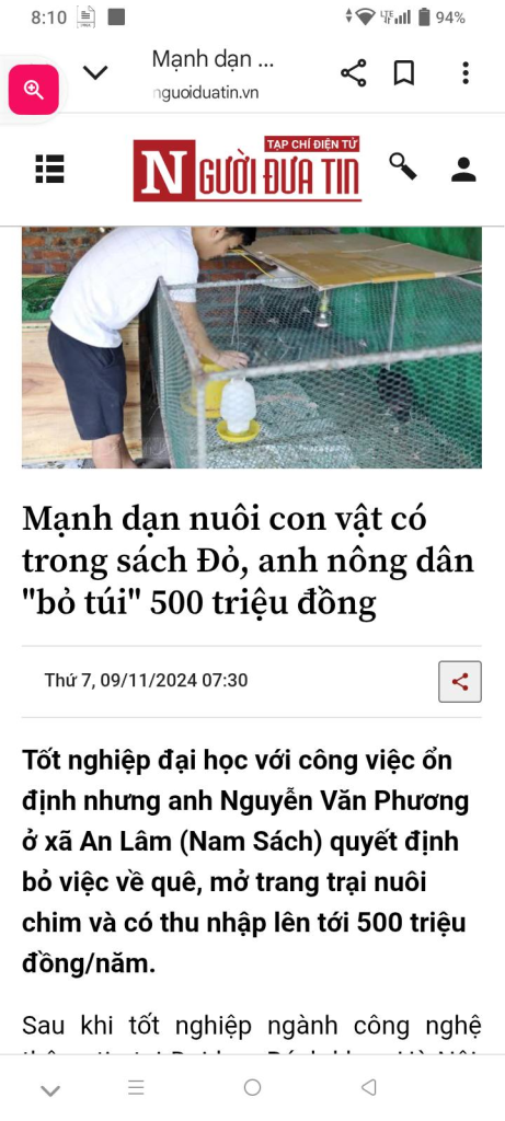 nuoi chim 2.png