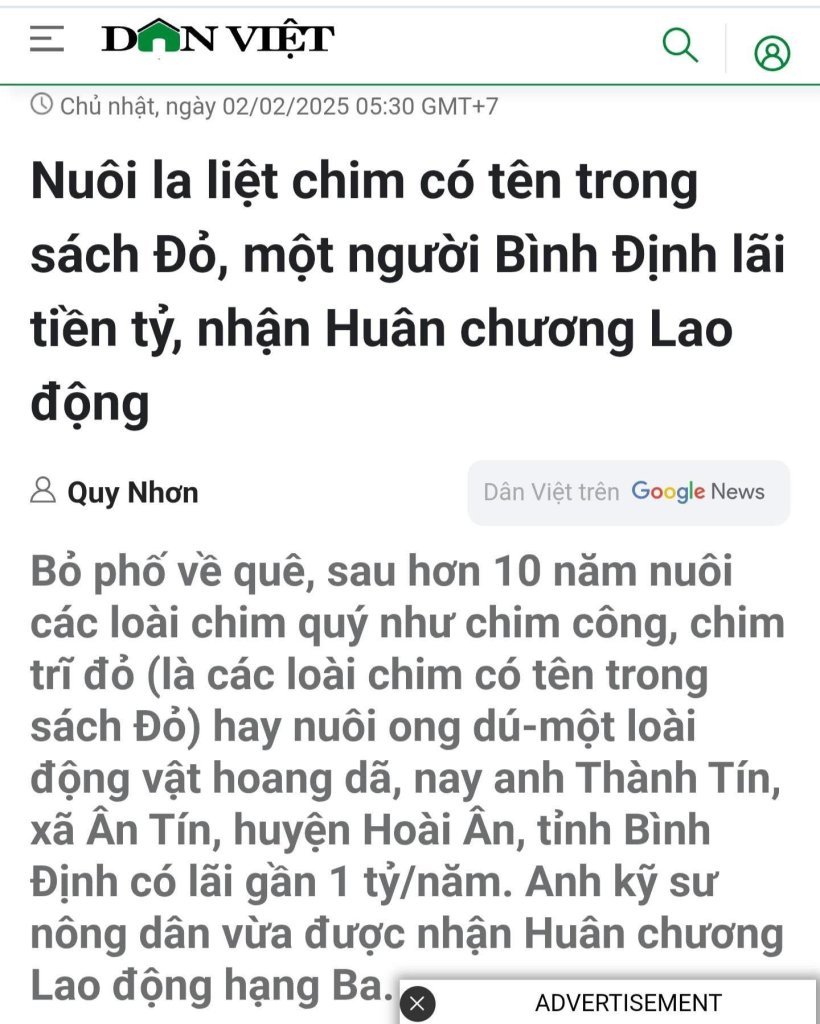 nuoi chim1.jpg