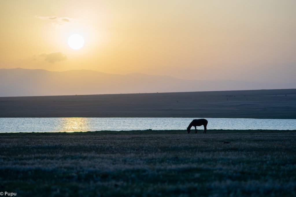 _DSC9656.jpg