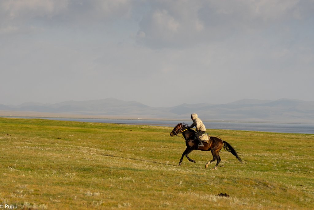_DSC9788.jpg