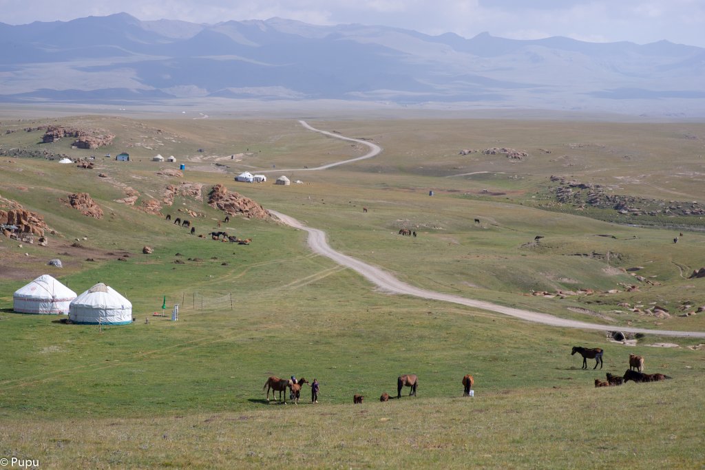 _DSC9953.jpg