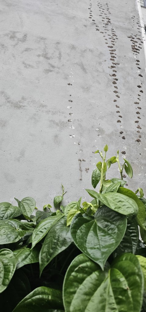 1000023701.jpg