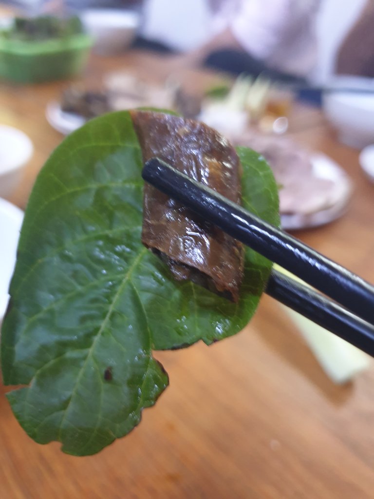 20250815_120541.jpg