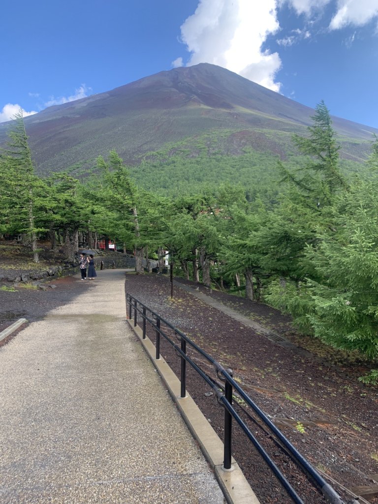 IMG_9240.jpeg
