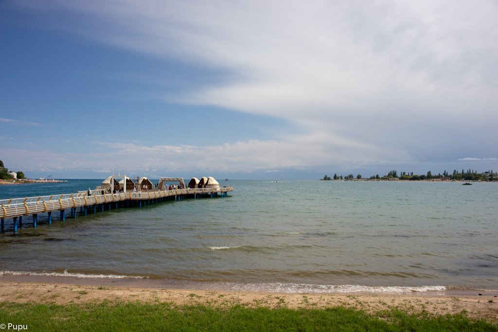 _DSC0584.JPG
