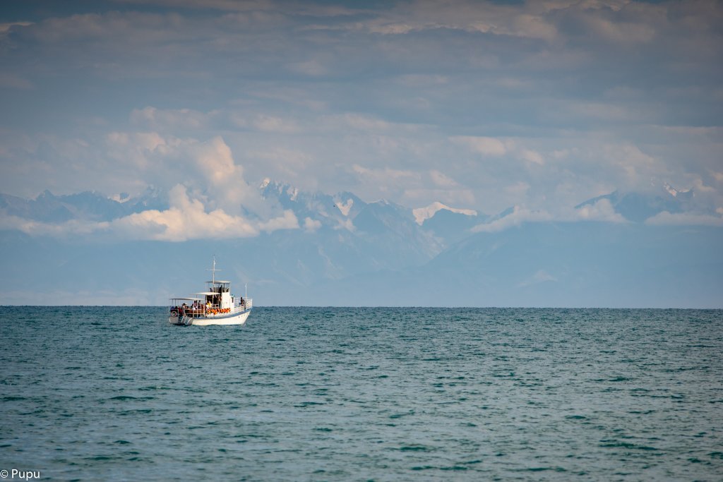 _DSC0620.JPG