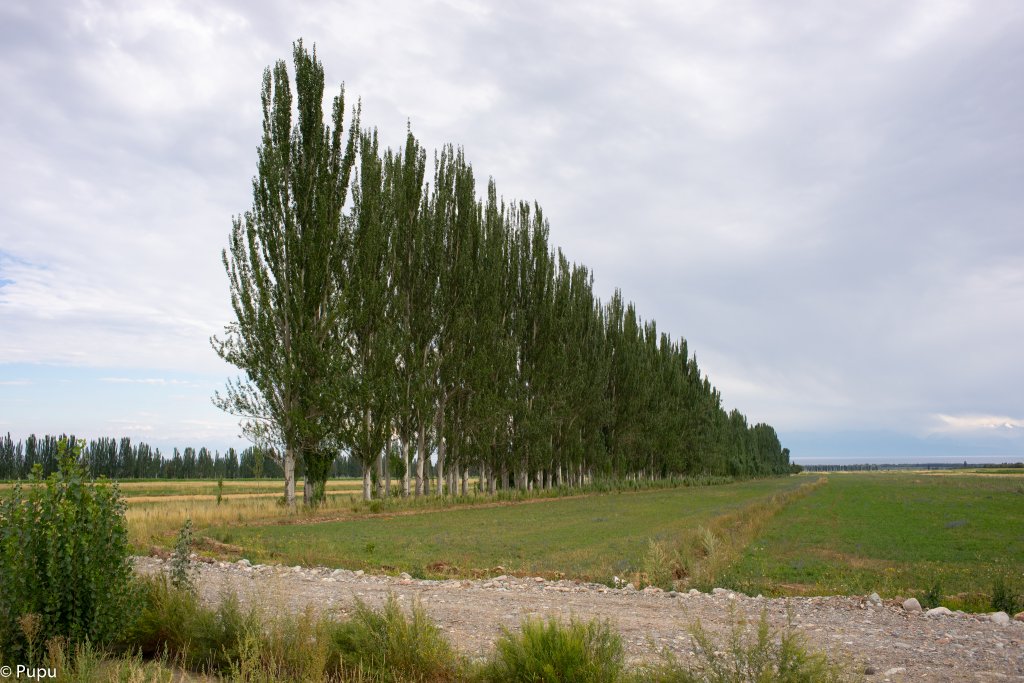 _DSC0656.JPG
