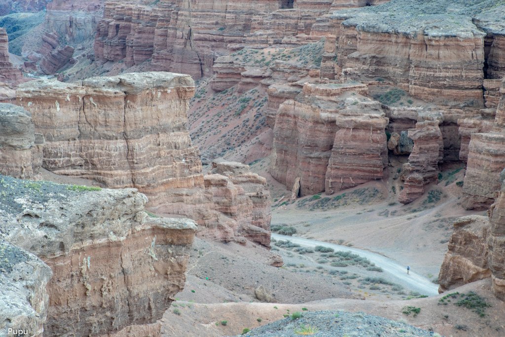 _DSC0724.JPG