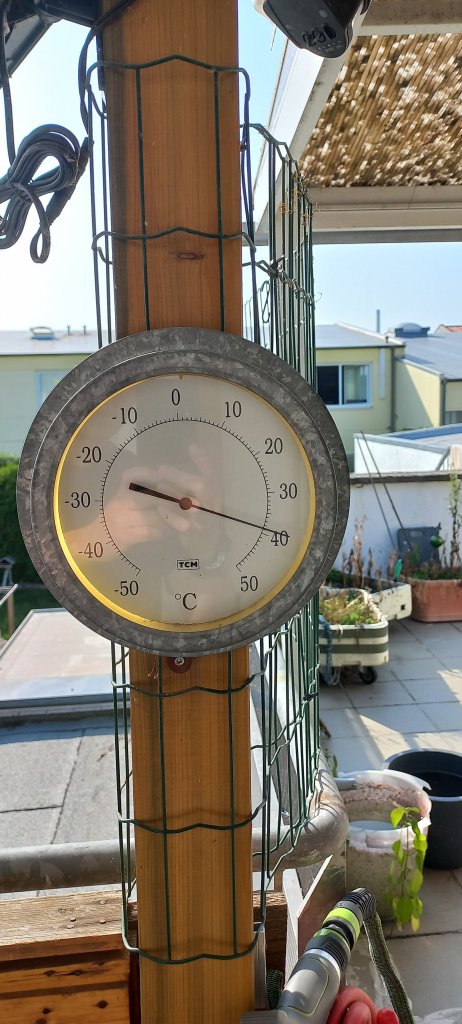 20250815_094448.jpg