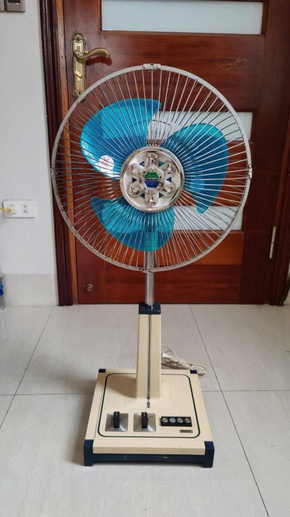 1000011943.jpg