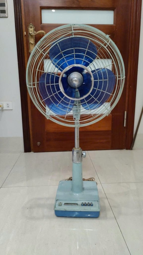1000011942.jpg