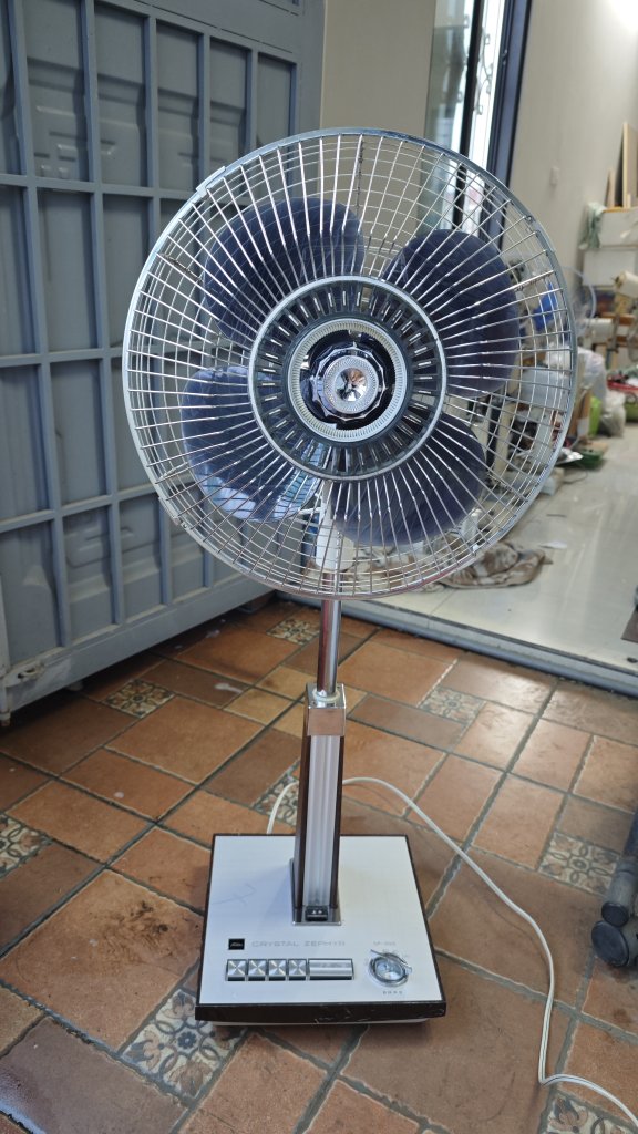 1000008788.jpg
