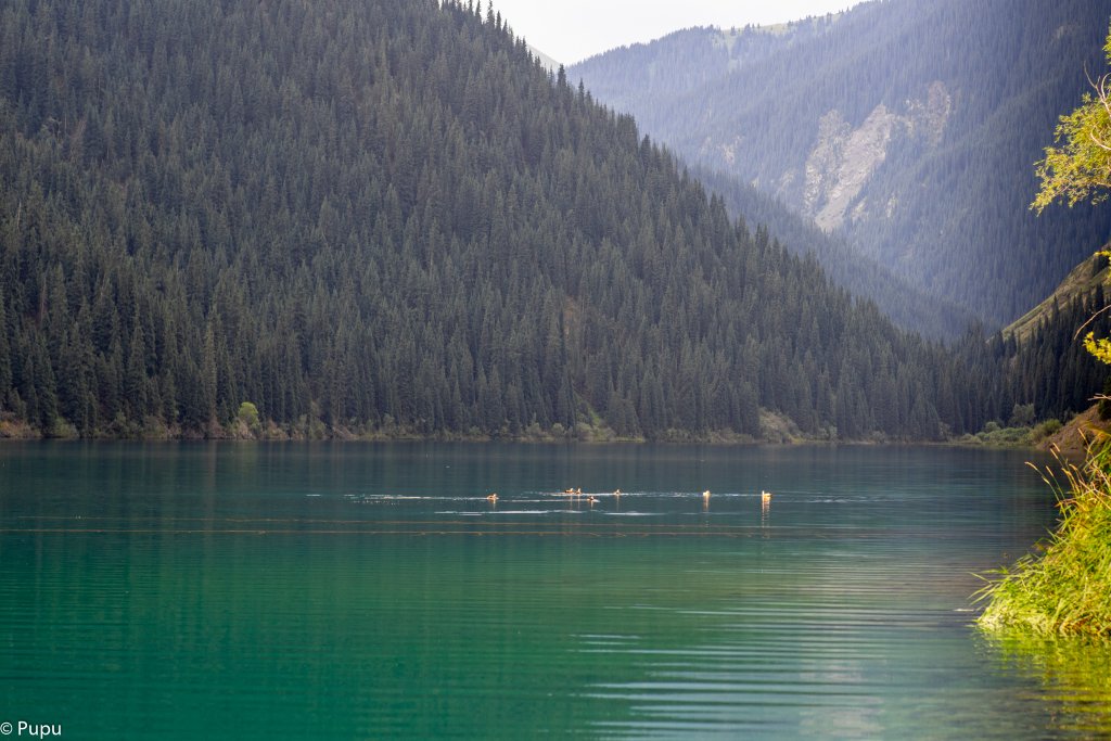 _DSC0815.JPG