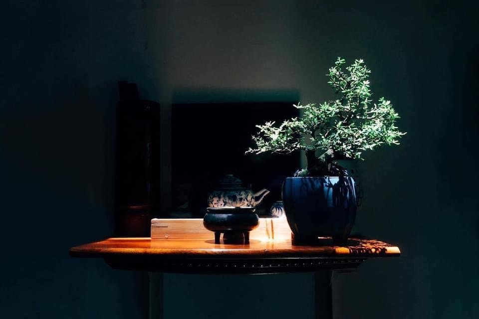 IMG_7189.jpeg