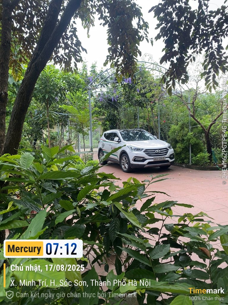 2025-08-17 07.12.41_X. Minh Trí_(Tiêu đề-Mercury).jpeg