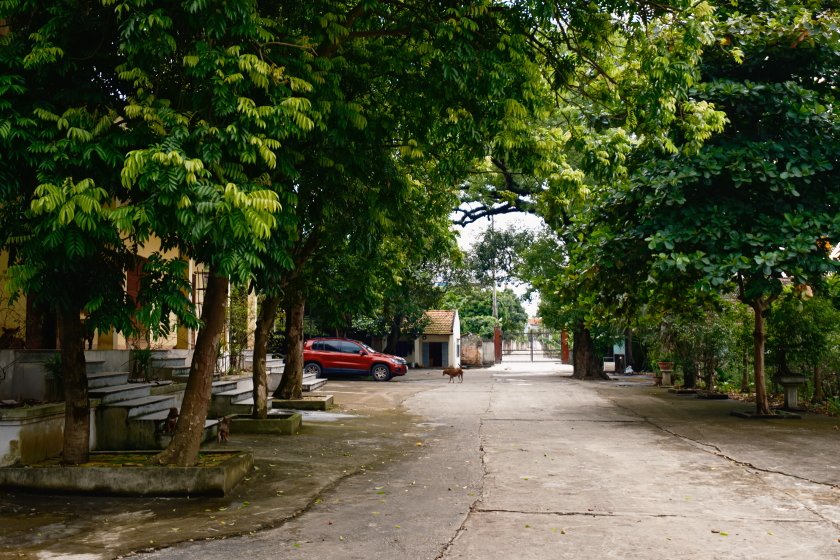 DSCF0783.JPG