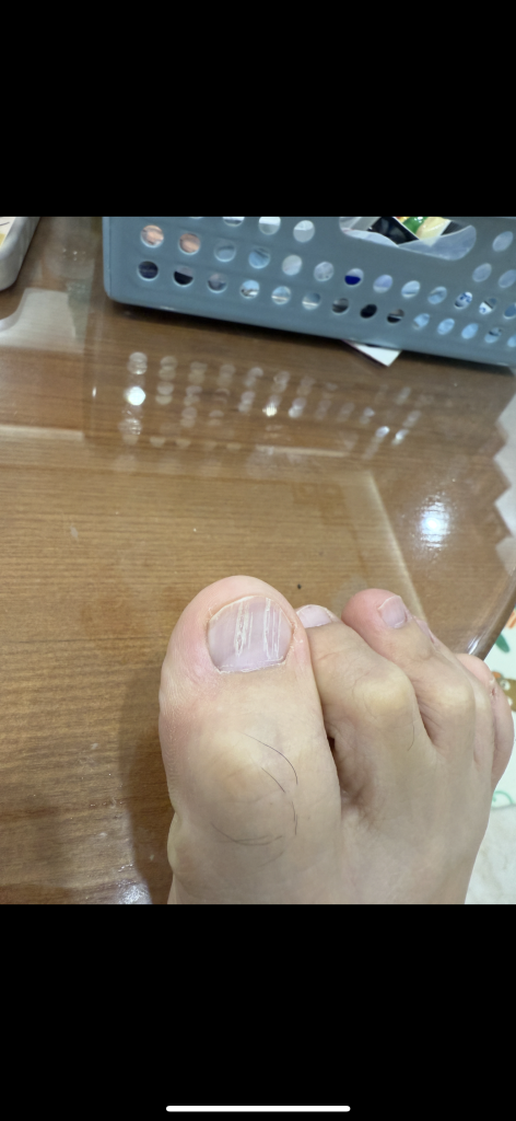IMG_8292.png