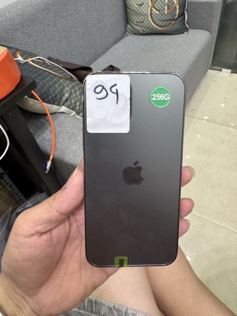 IMG_3173.jpeg