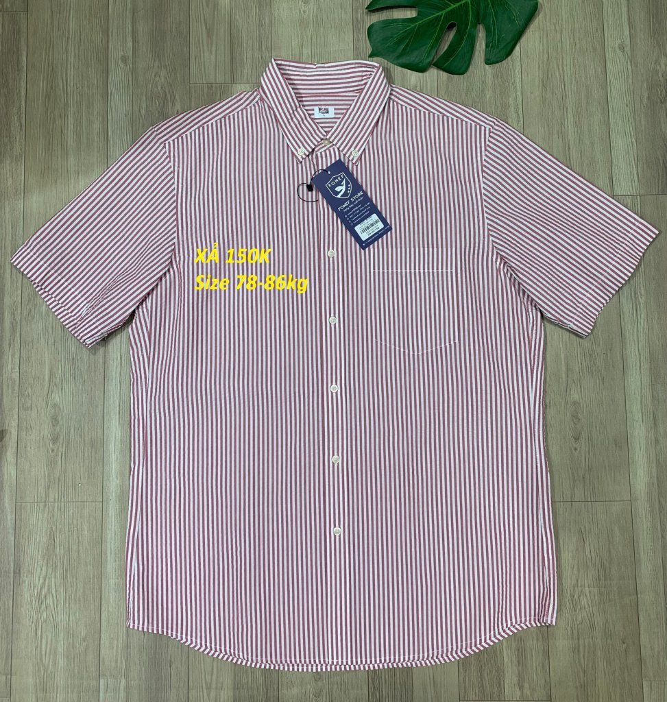 UNQ152 - Hồng sọc trắng (1).jpg