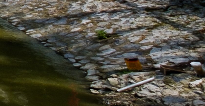 DSCF0797Crop.JPG