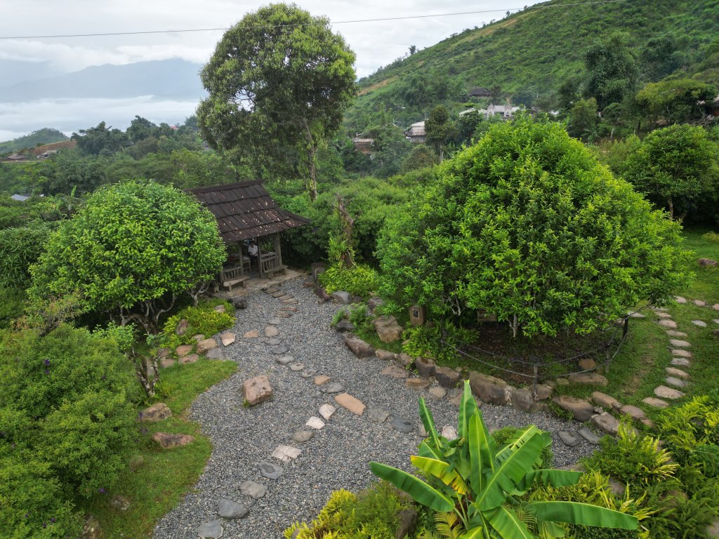 dji_fly_20250807_081918_268_1754440215054_photo.jpeg