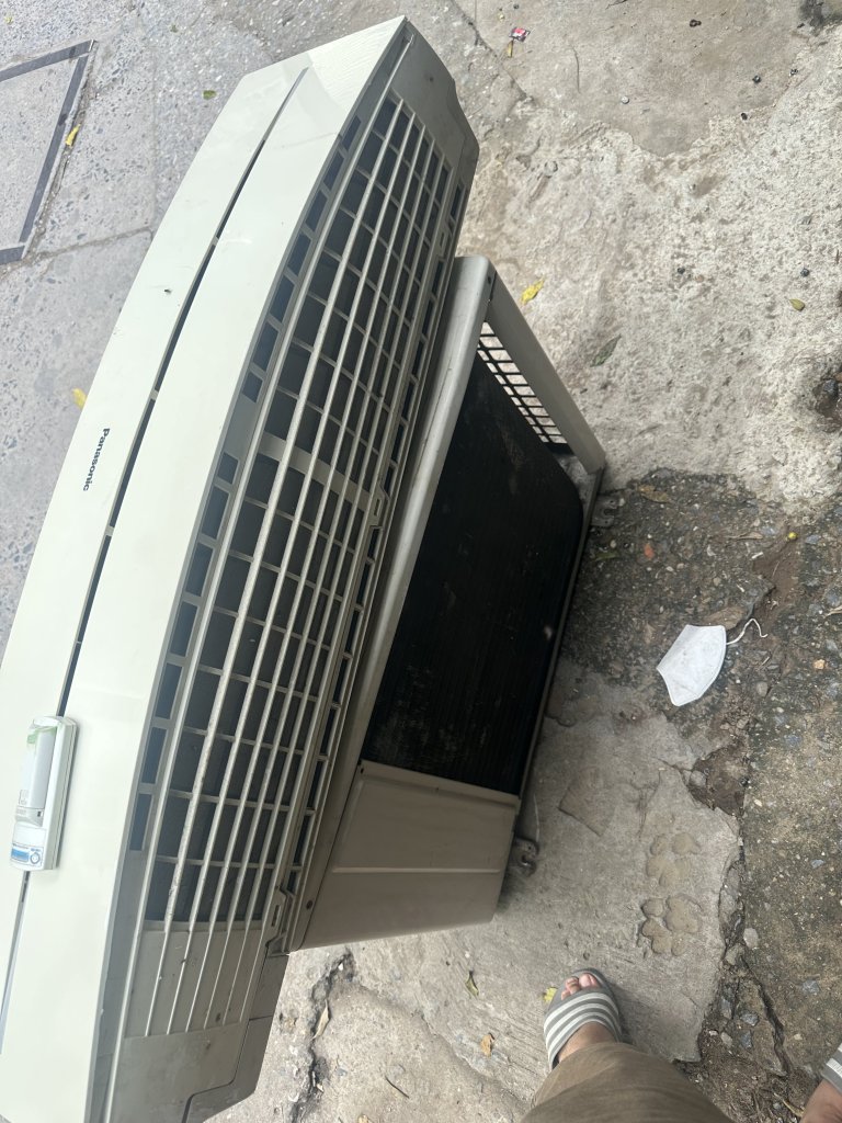IMG_9387.jpeg