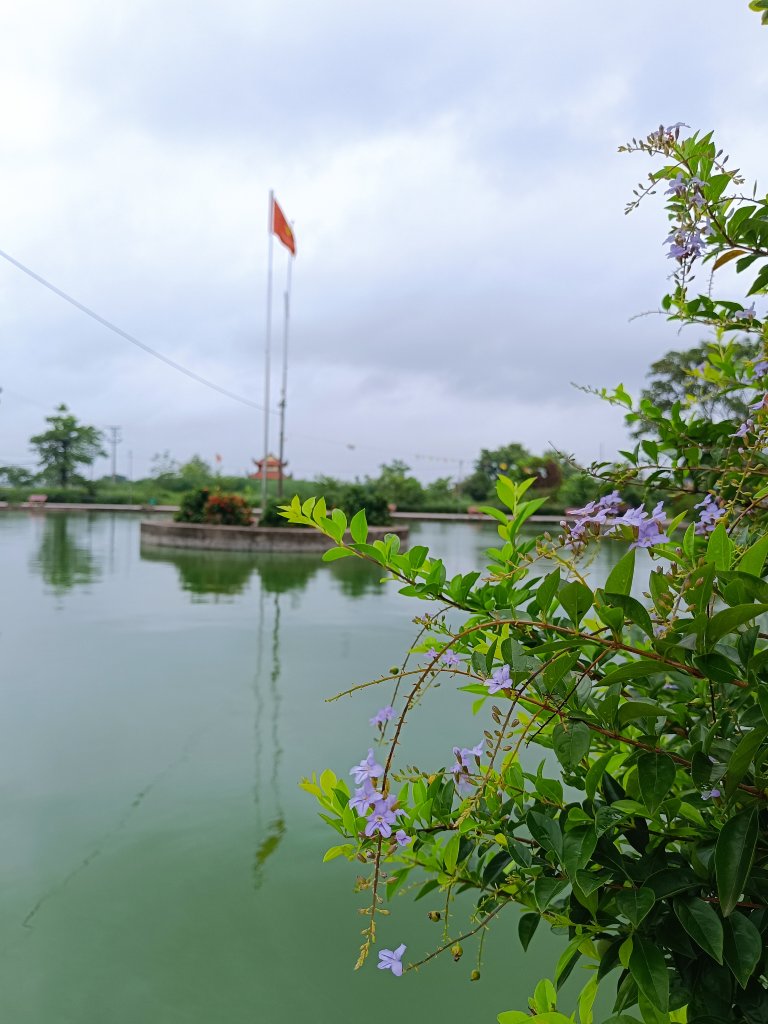 IMG_20250821_121707.jpg