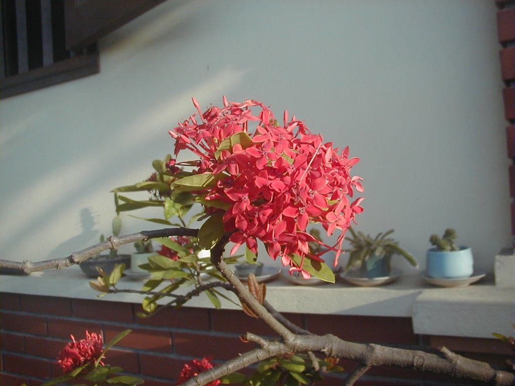 P1010008.JPG