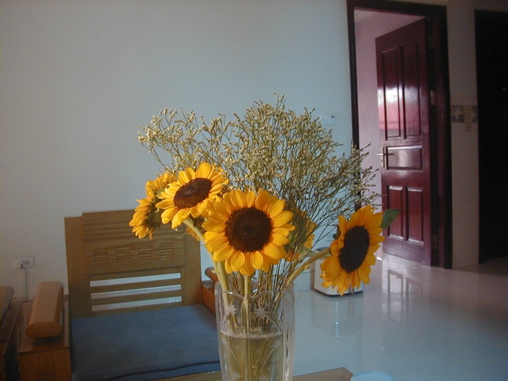 P1010006.JPG