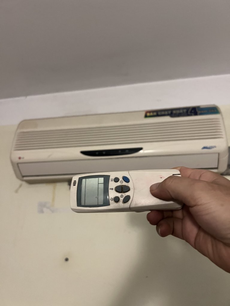 IMG_3229.jpeg