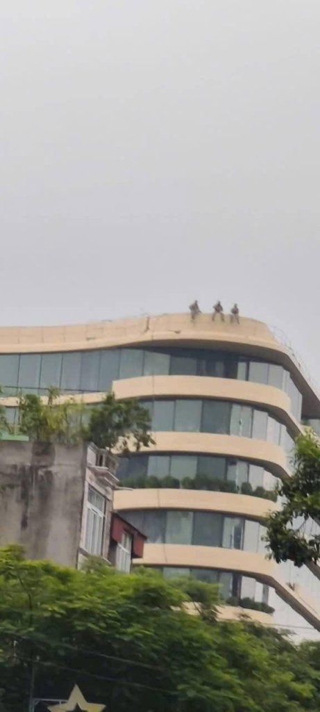 IMG_4370.jpeg