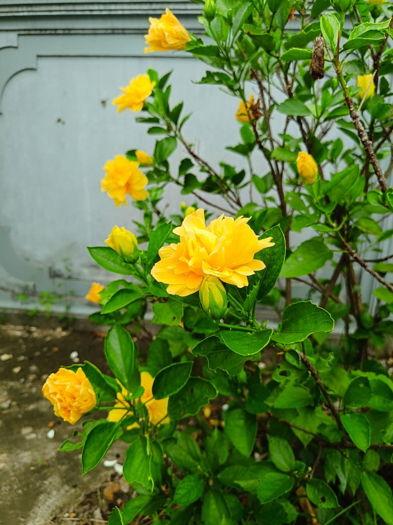 IMG_20250821_104953.jpg