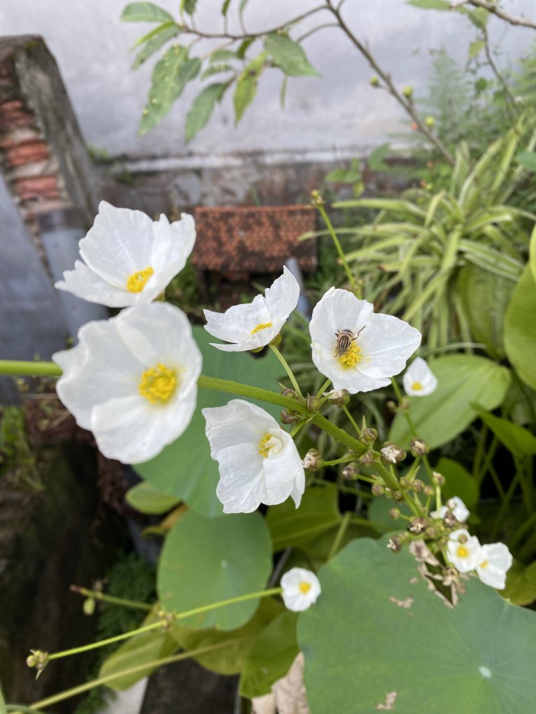 41CB5E8B-E755-48A5-9C3D-C17AC8E0422B.jpeg