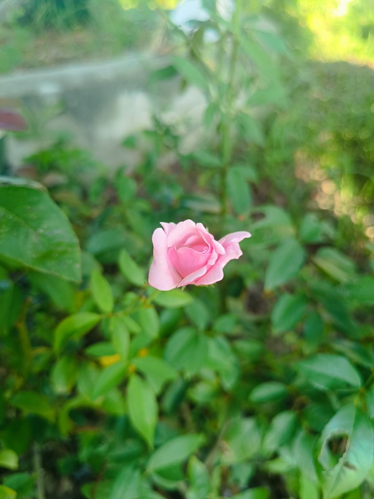 IMG_20250823_165213.jpg